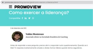 Promoview - Valdez Monterazo